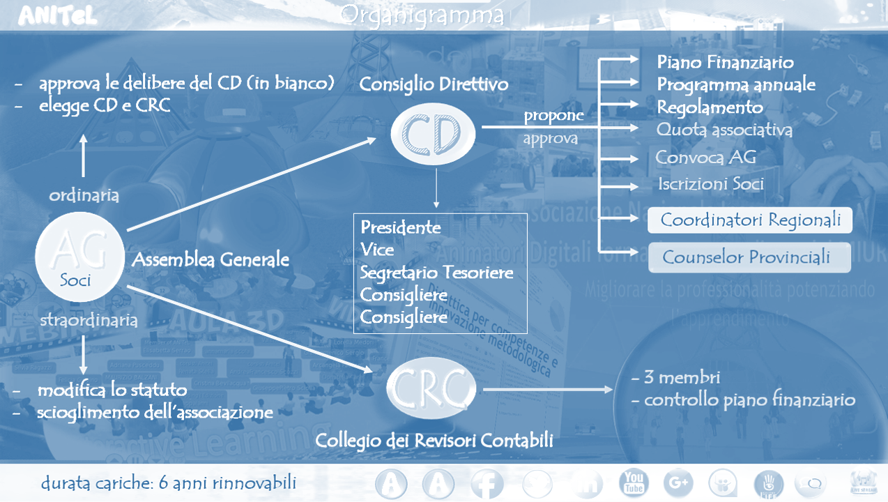 Organigramma Anitel